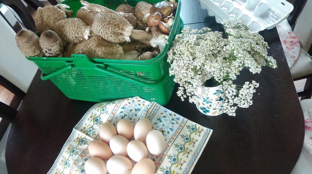 Agroturystyka Sominy Piotr Zewnętrze zdjęcie