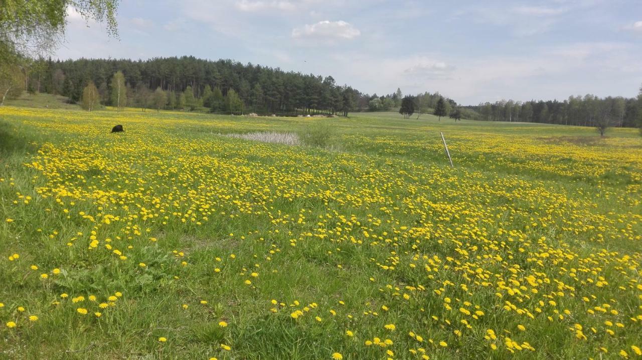 Agroturystyka Sominy Piotr Zewnętrze zdjęcie